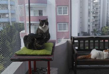 izmir Güvenlik Filesi